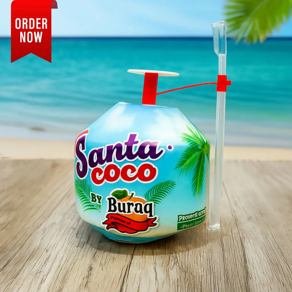 Santa Coconut Ready to Drink